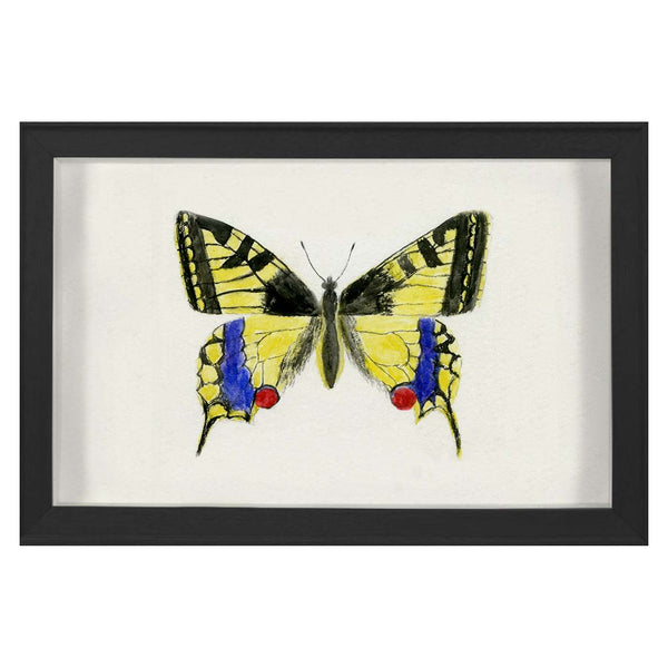 jonathan adler Hubbard Butterfly Small: 583
