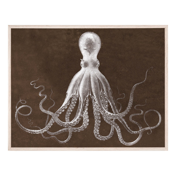 jonathan adler Lord Bodner in Brown