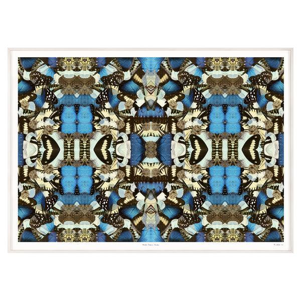 jonathan adler Morpho Emperor Peleides