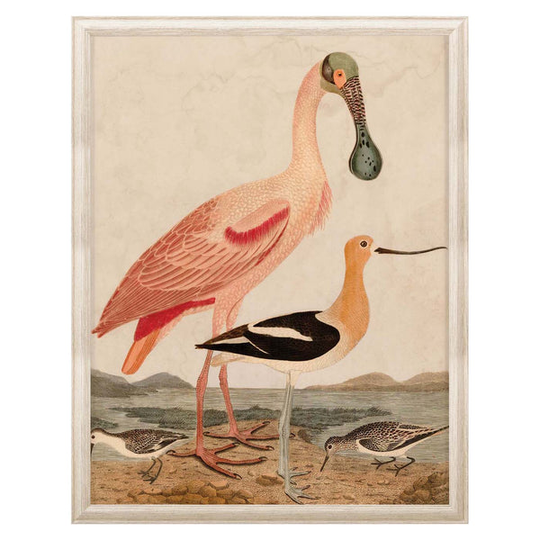 jonathan adler Warnicke Spoonbill