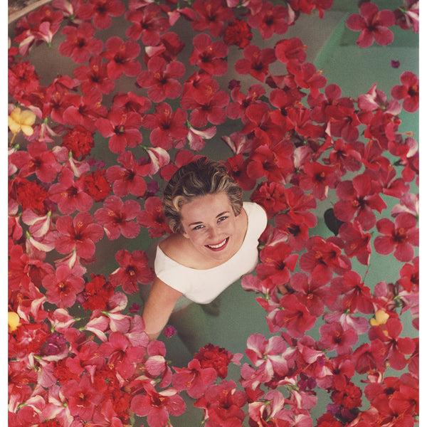 jonathan adler Slim Aarons “Hibiscus Flowers” Photograph