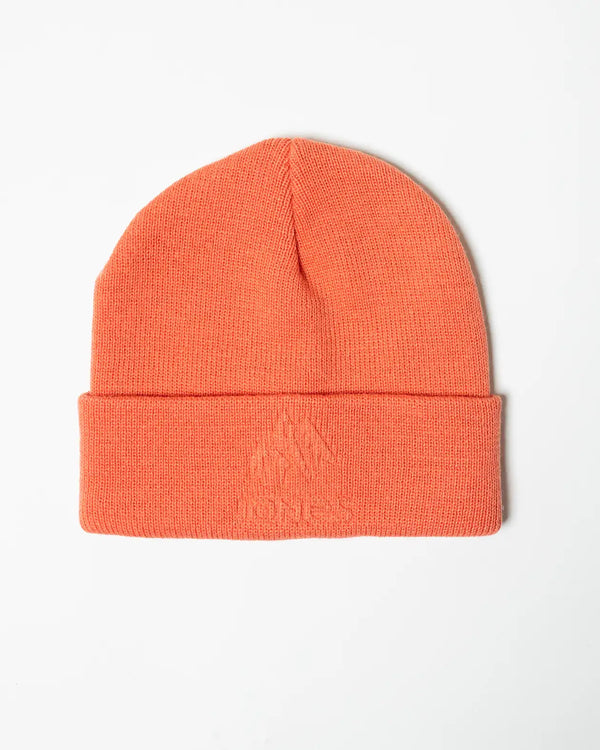jones Tahoe Recycled Beanie