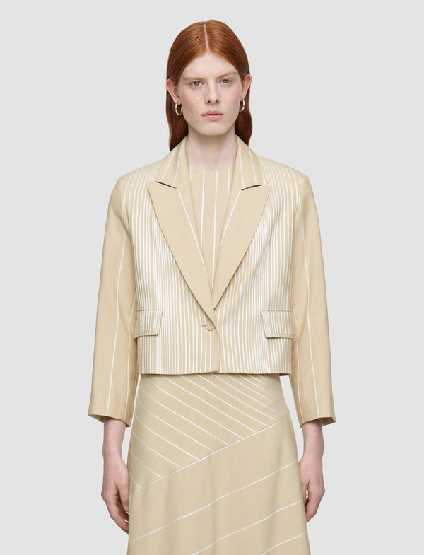 Joseph Berlier Embroidered Stripes Jacket Affogato/Ivory