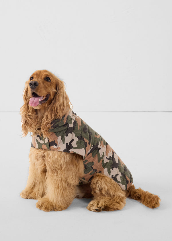 Jott Doudoune Pour Chien Camo Sucre Roux Cutie Print