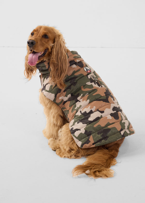 Jott Doudoune Pour Chien Camo Sucre Roux Cutie Print
