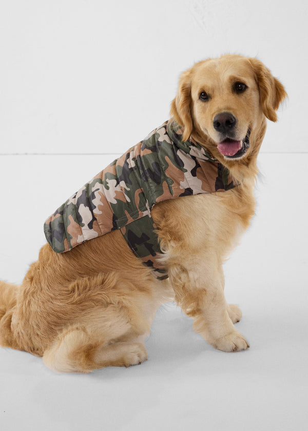 jott Doudoune pour chien Camo sucre roux Cutie print