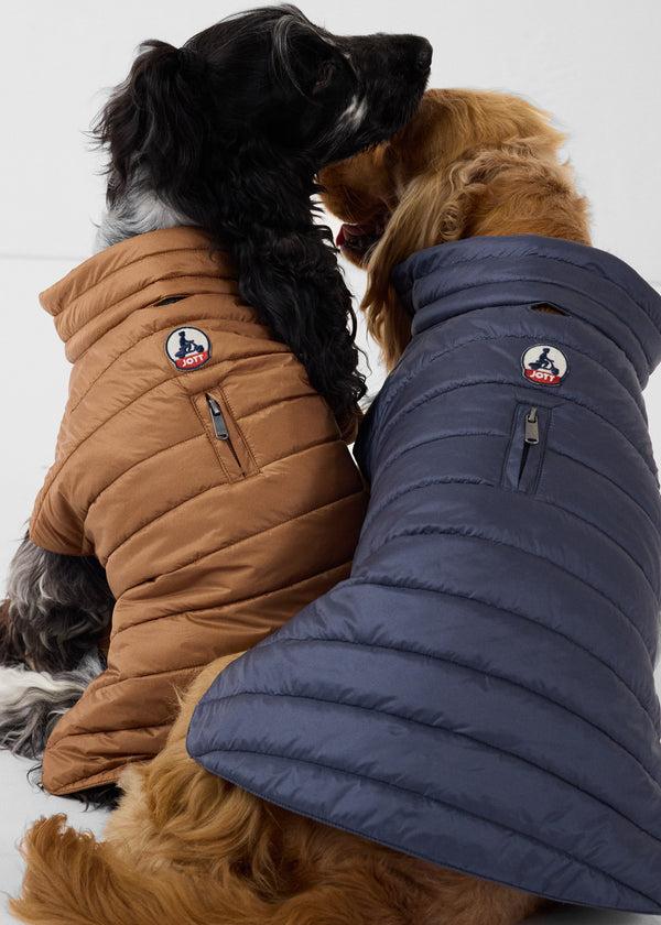 Jott Doudoune Pour Chien Bluestone Cutie