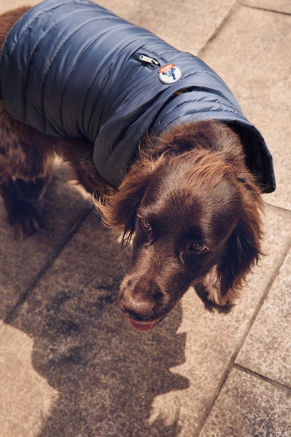 Jott Doudoune Pour Chien Bluestone Cutie