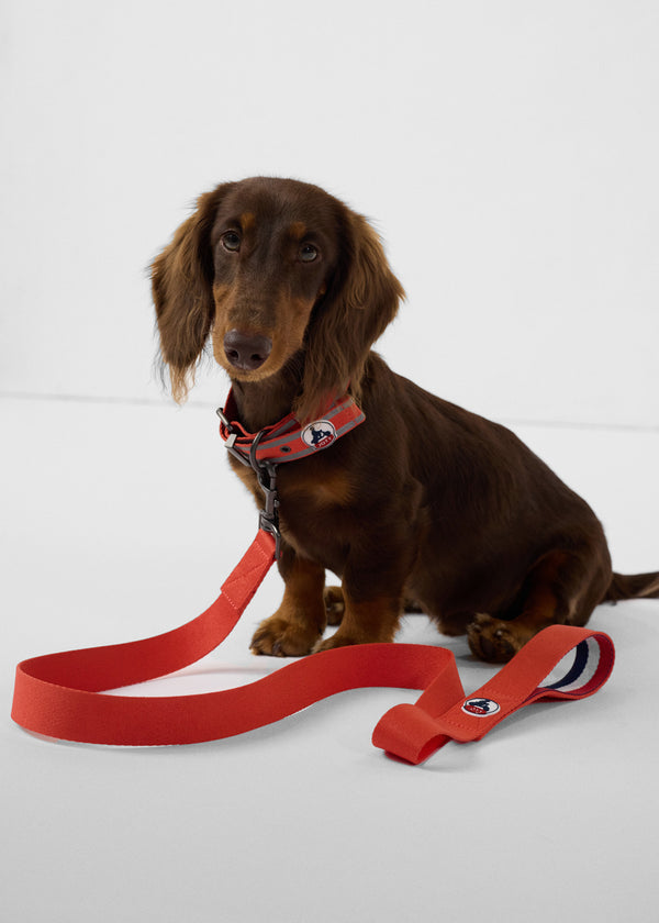 jott Laisse pour chien Rouge feu Max