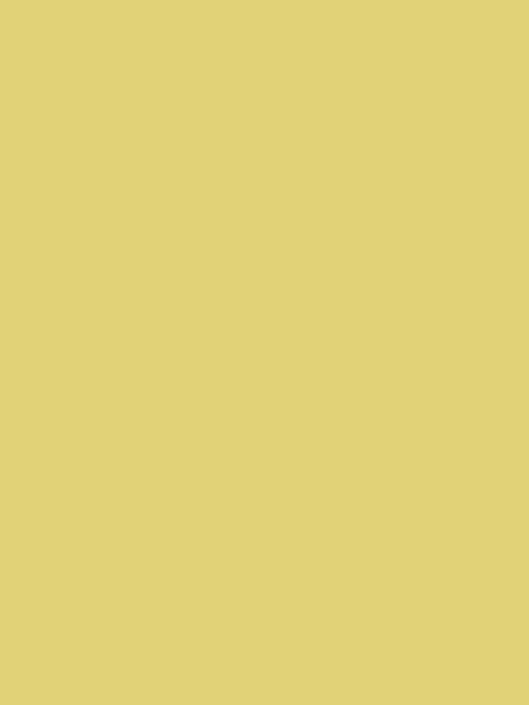 Joules Cornish Sun Yellow Multi Surface Matt Emulsion