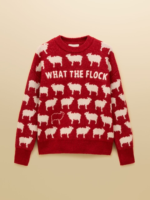 joules Intarsia Knitted What The Flock Relaxed Fit Jumper with Crew Neck