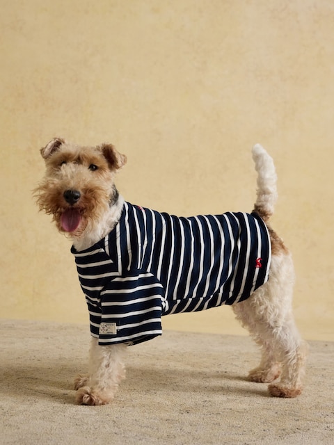Joules Blue Harbour Dog Top