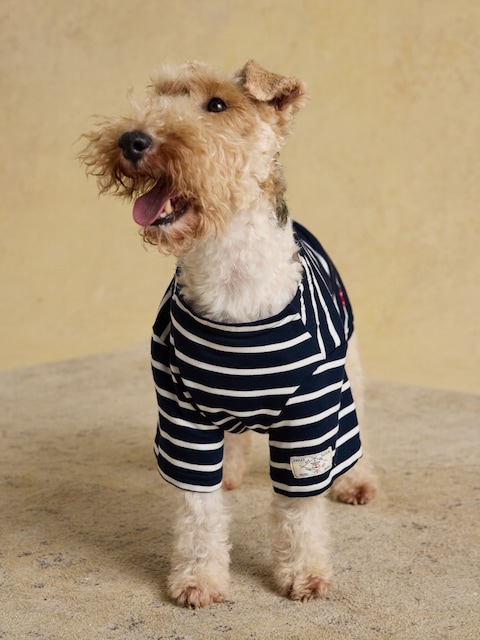 Joules Blue Harbour Dog Top