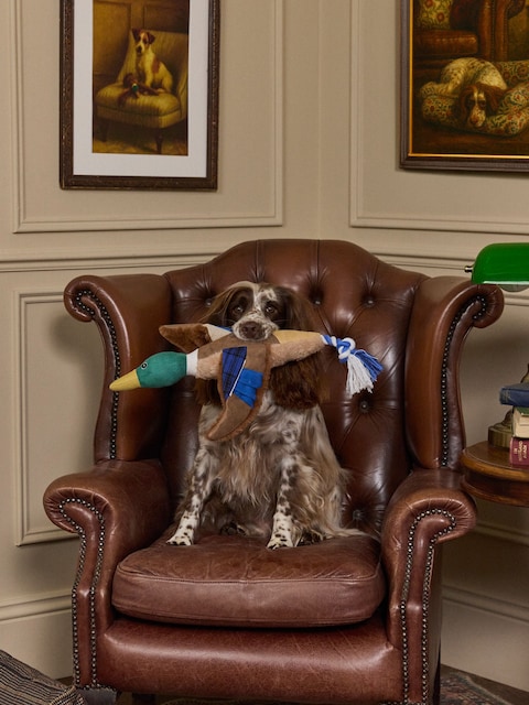 Joules Blue Plush Duck Dog Toy