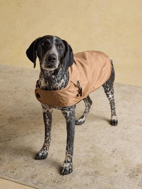 Joules Burra Brown Water-Resistant Dog Jacket