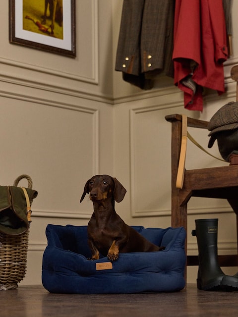 Joules Chesterfield Navy Dog Bed