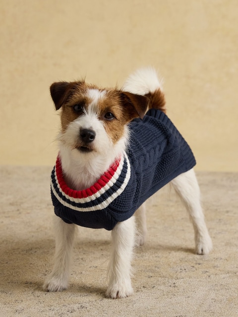 Joules Dawson Navy Blue Dog Knit Jumper