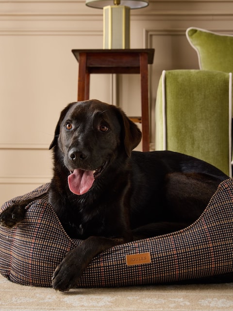 Joules Henson Check Brown Pet Bed