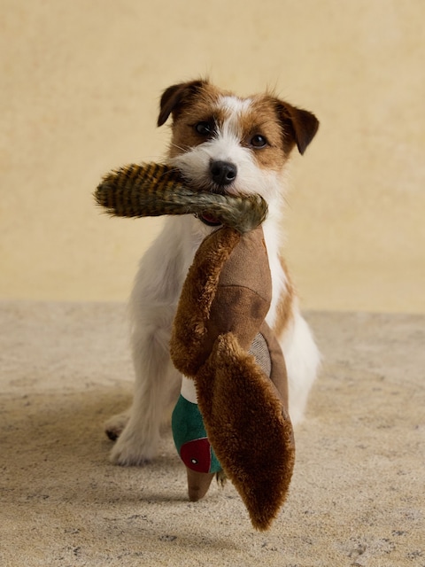 Joules Joules Brown Pheasant Dog Toy