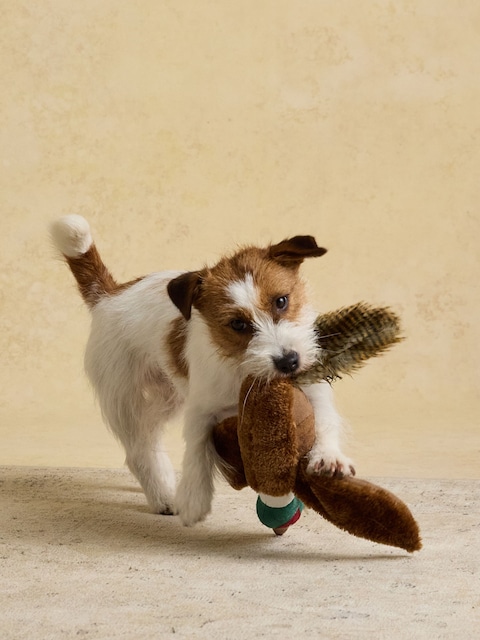 Joules Joules Brown Pheasant Dog Toy