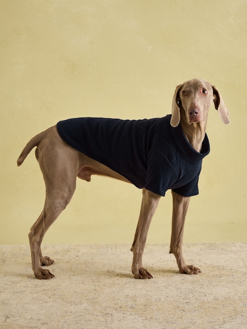 Joules Joules Navy Blue Dog Fleece