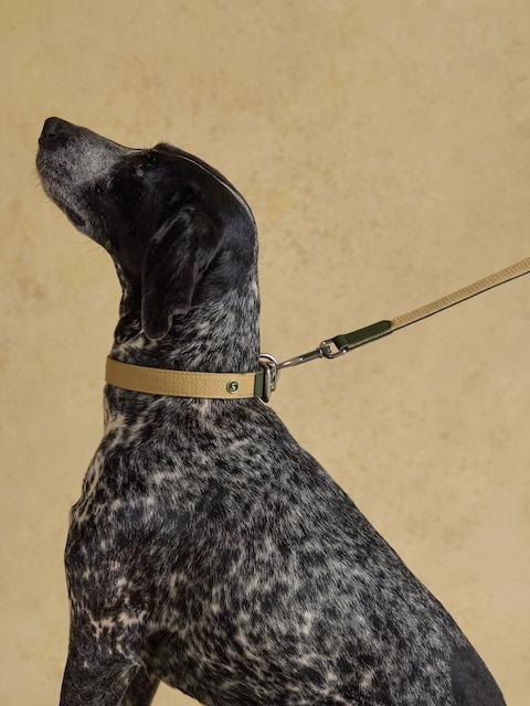 Joules Khaki Green Pet Lead