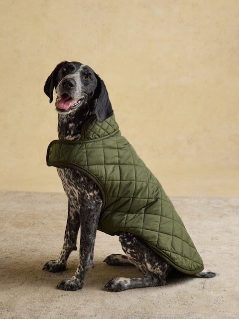 Joules Khaki Green Quilted Dog Coat
