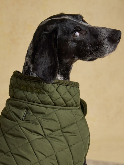Joules Khaki Green Quilted Dog Coat