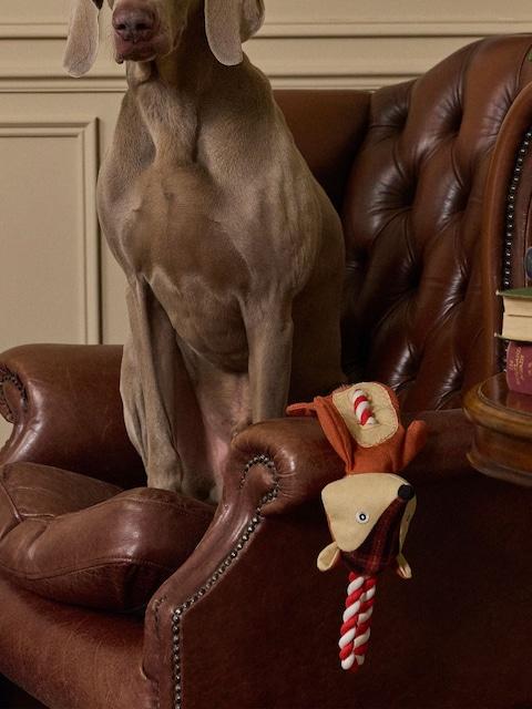 Joules Red Fox Dog Toy