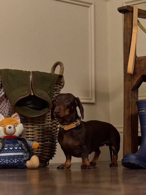 Joules Tan Brown Pet Collar