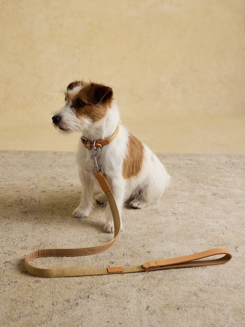 Joules Tan Brown Pet Lead