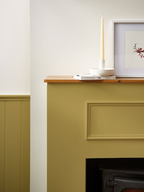 Joules Twitcher Multi Surface Matt Emulsion