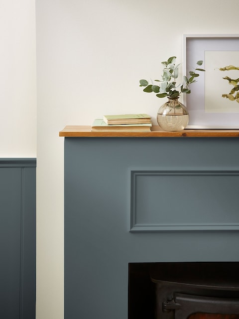 Joules Woodlouse Blue Multi Surface Matt Emulsion