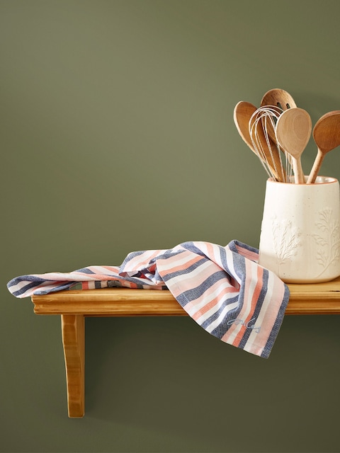 Joules Picnic Blanket Green Multi Surface Matt Emulsion