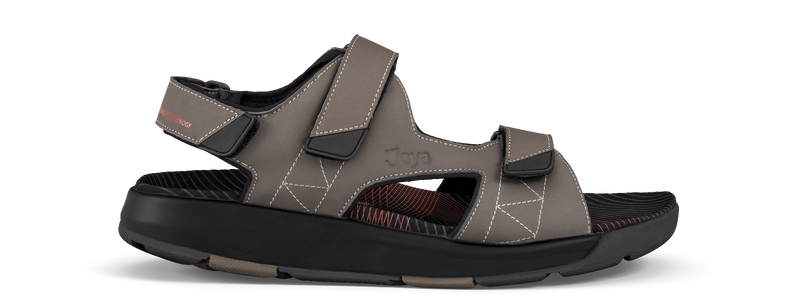 joya Alexander brown