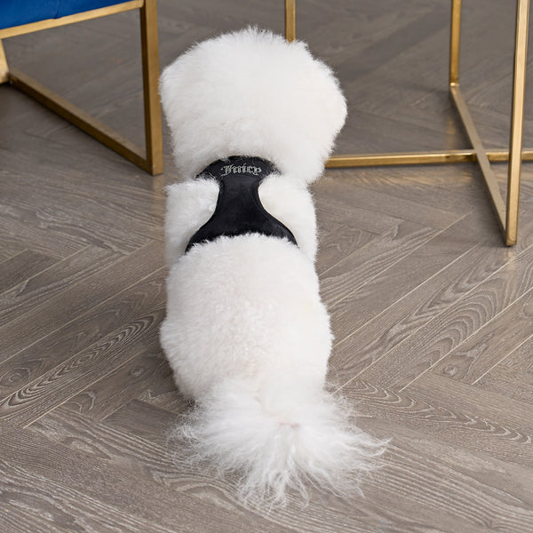 Juicy Couture Bling Velour Pet Harness And Leash Set