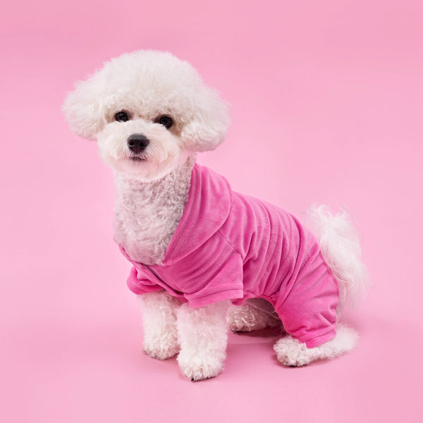 juicy couture Bling Velour Pet Tracksuit