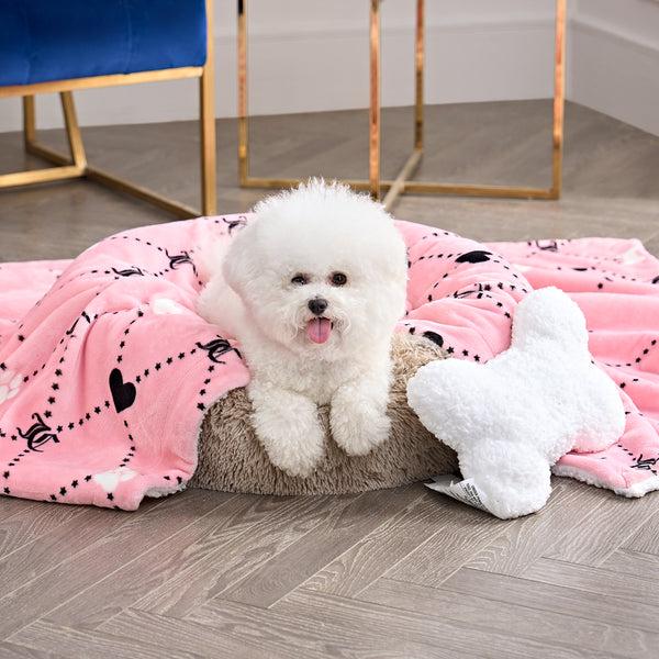 Juicy Couture Pet Blanket & Pillow Set