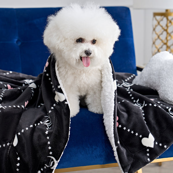 Juicy Couture Pet Blanket & Pillow Set