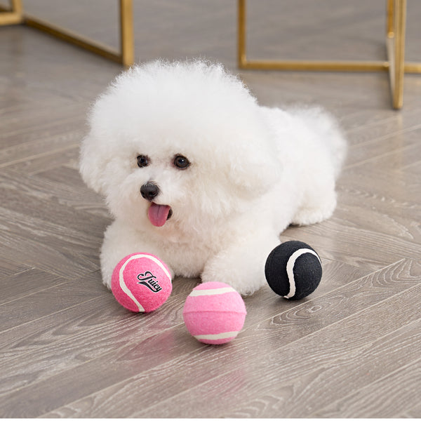 juicy couture Tennis Balls For Pets