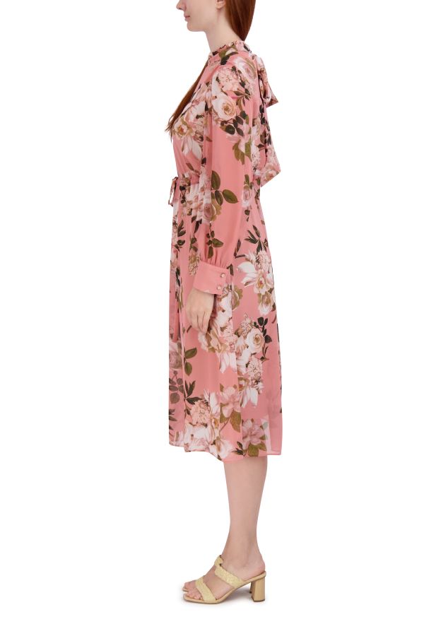 Julia Jordan Long Sleeve Ruffle Neck Maxi Dress Blush Multi