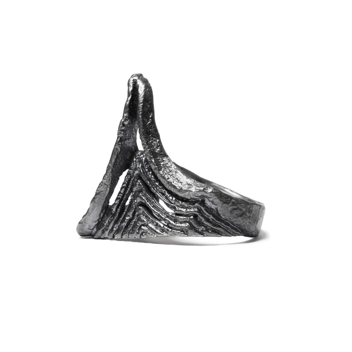 Julius 077ACU10 Silver / Dualflow Anima Ring Ver.5
