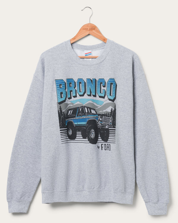 junk food clothing Bronco By Ford Flea Market Fleece Heather Grey