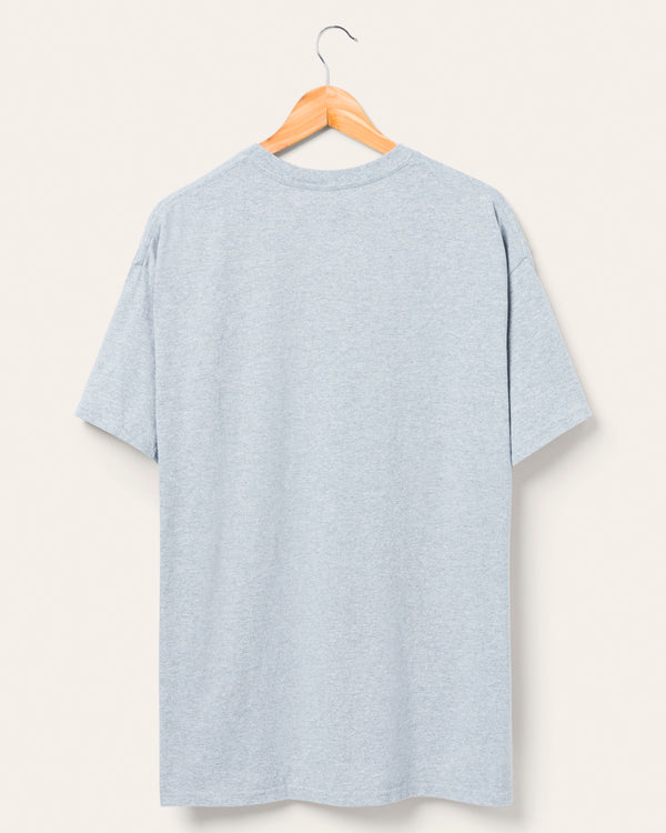 Junk Food Clothing Detroit Lions Complete Tee Heather Gray