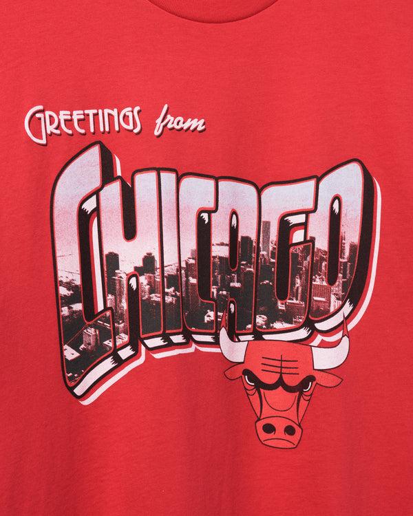 Junk Food Clothing Bulls NBA Postcard Tee Licorice