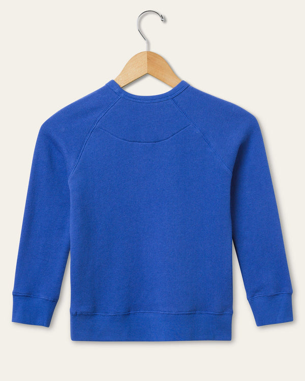 Junk Food Clothing Kids New York Giants Hot Route Raglan Fleece Liberty