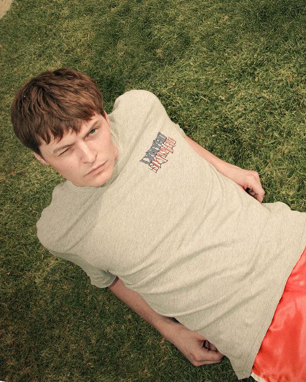 Junk Food Clothing Lynyrd Skynyrd Rock N Roll Eagle Vintage Tee Heather Grey