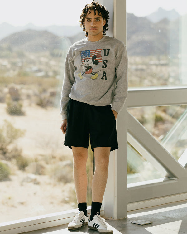 Junk Food Clothing Mickey USA Flea Market Fleece Heather Grey