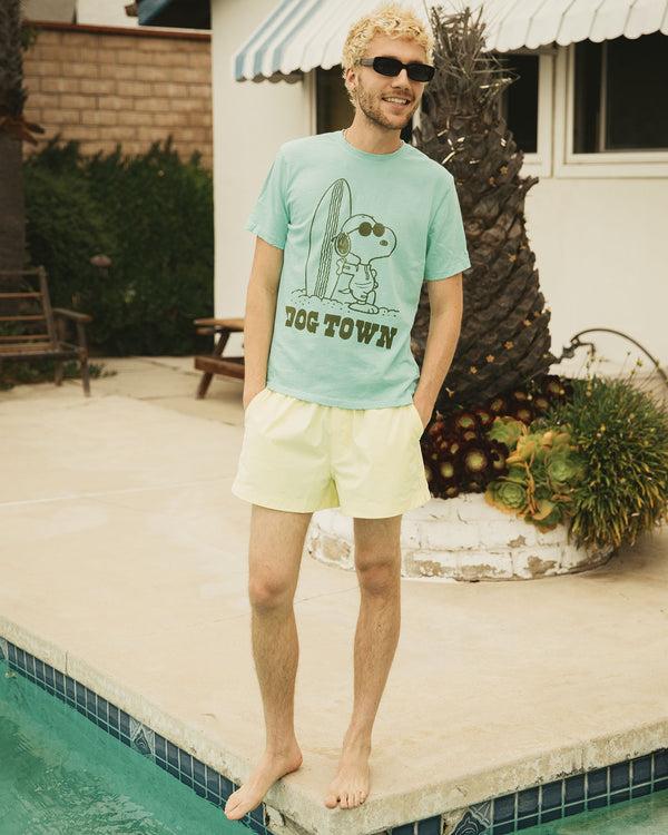 Junk Food Clothing Snoopy Dog Town Vintage Tee Dusty Jade Green