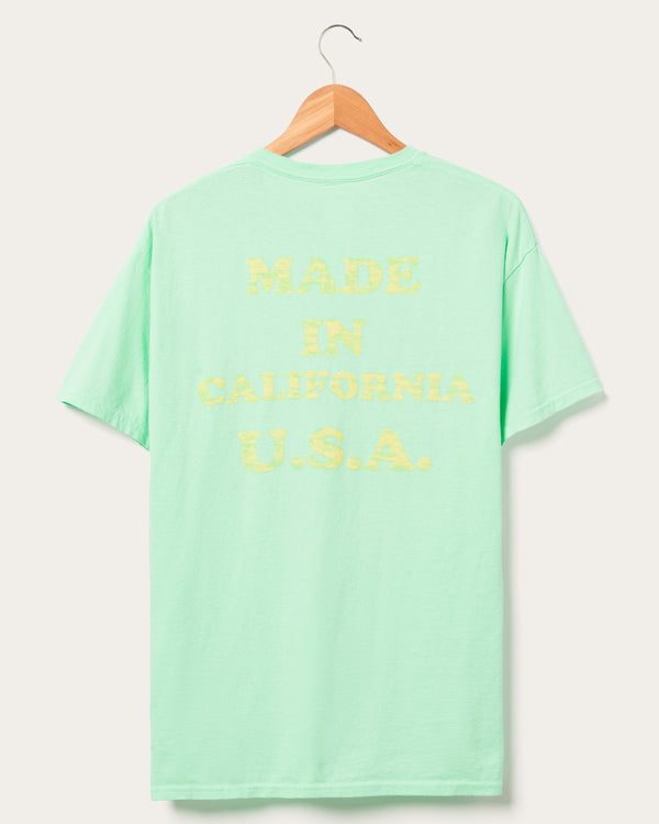 Junk Food Clothing The Beach Boys Flea Market Tee Mint Green